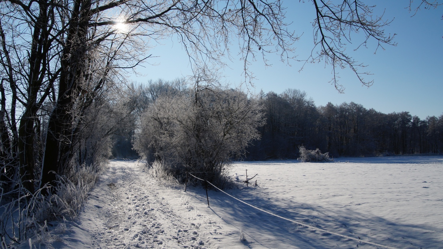 2021-01-31_Winter_in_Stuecken_09