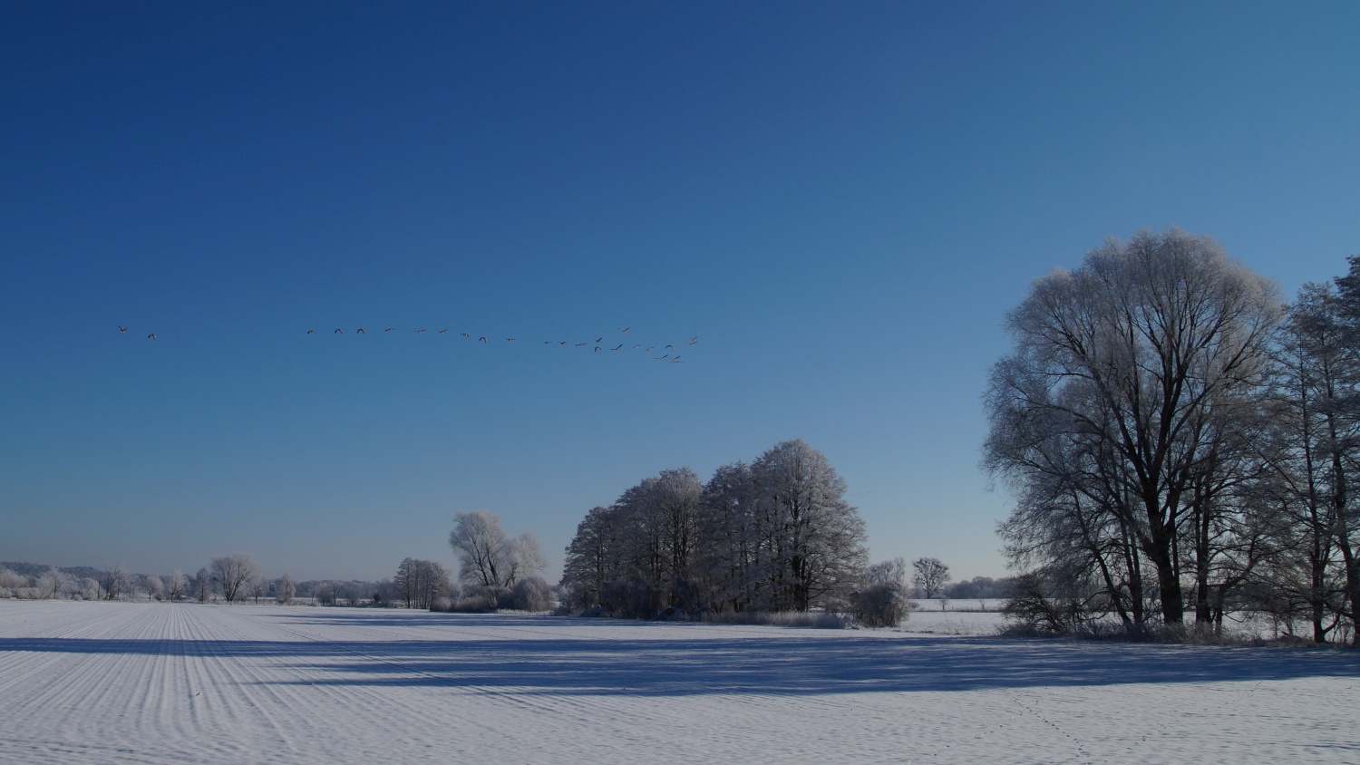 2021-01-31_Winter_in_Stuecken_17