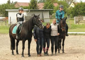 Ausbildung beim Pferdesport Lützow Stücken e.V.