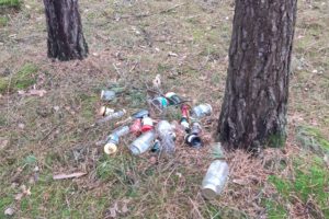 Kurz gebloggt Stücken Müll im Wald